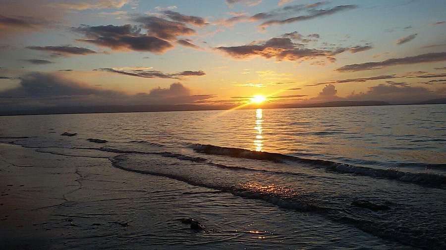 Dolphin Watching on the Moray Firth