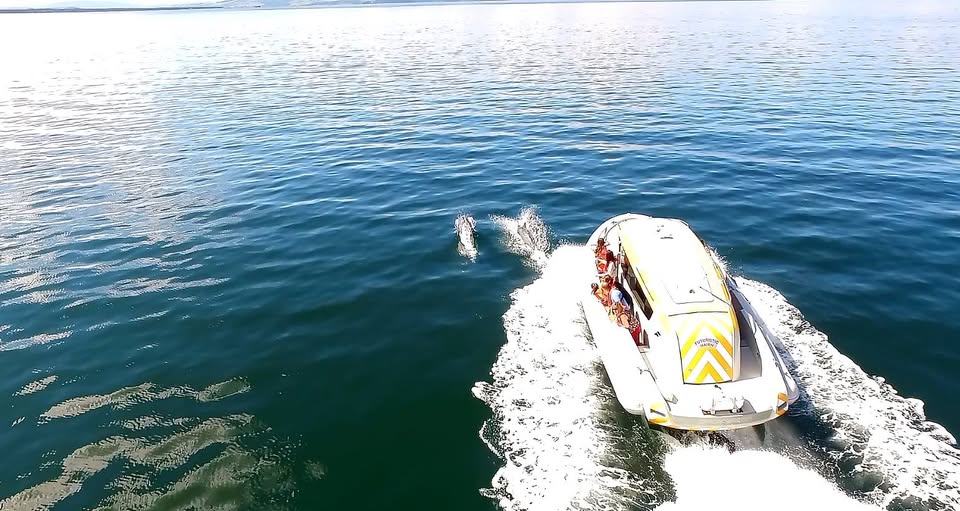 Phoenix Sea Adventures