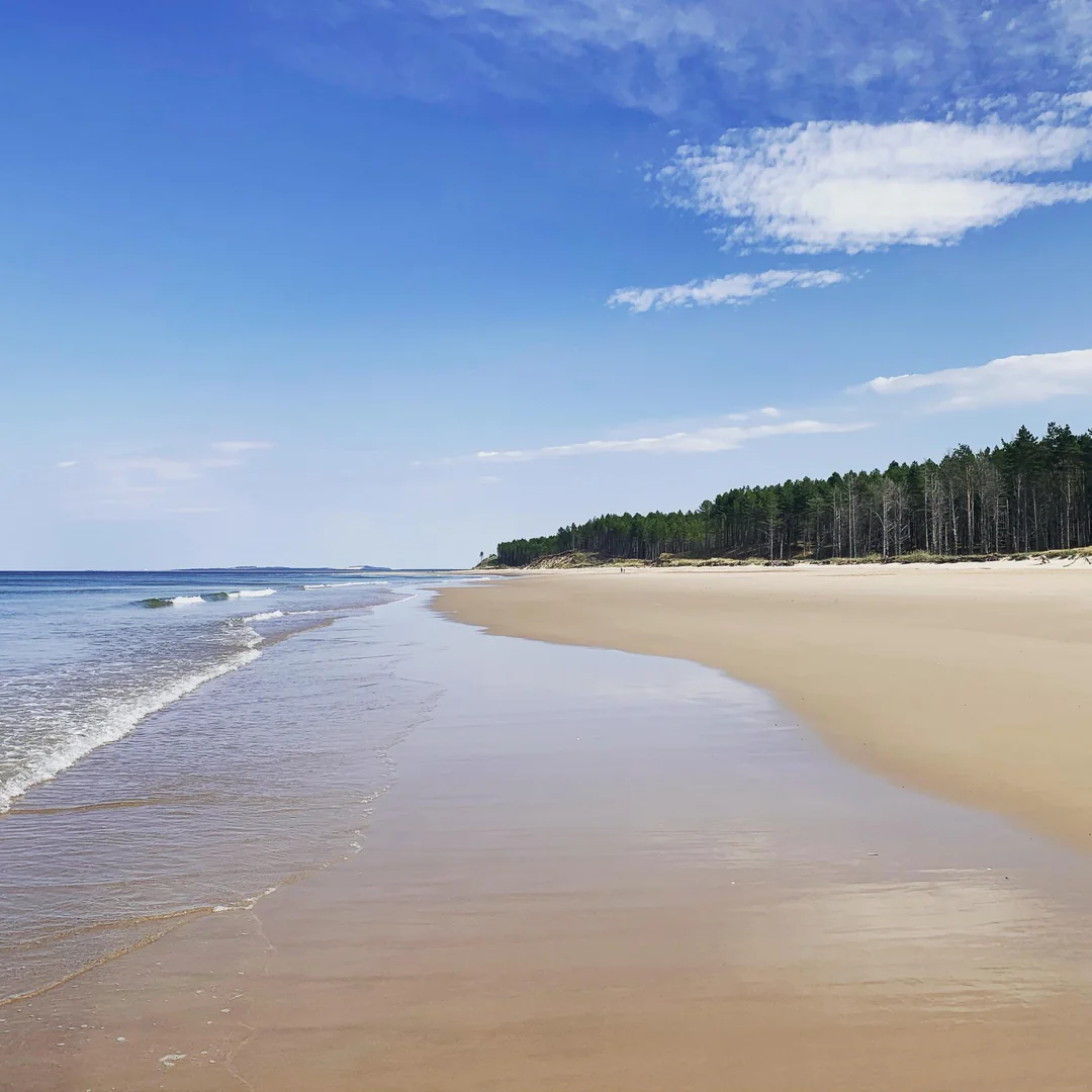 Culbin Forest & Beach